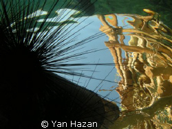 ABSTRACT by Hhh Hghgh 